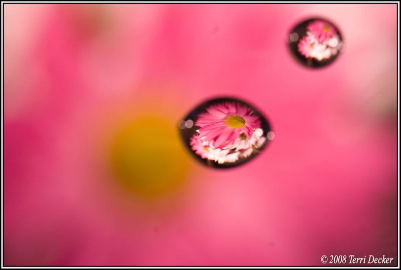 IMAGE: http://i90.photobucket.com/albums/k259/miss-pix/Stills/0804_refractionsandlight002.jpg