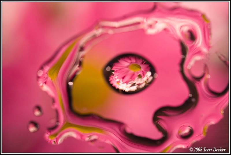 IMAGE: http://i90.photobucket.com/albums/k259/miss-pix/Stills/0804_refractionsandlight003.jpg