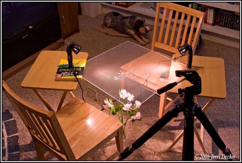 IMAGE: http://i90.photobucket.com/albums/k259/miss-pix/Stills/0804_refractionsandlight014.jpg