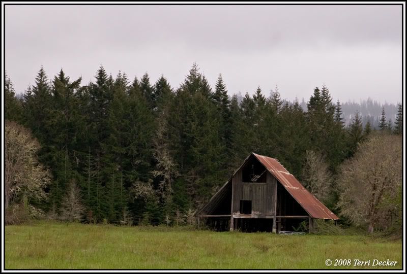 IMAGE: http://i90.photobucket.com/albums/k259/miss-pix/Stills/Homestead/0805_Homestead002.jpg