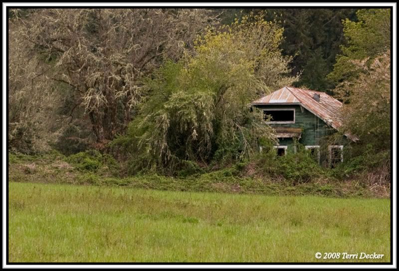 IMAGE: http://i90.photobucket.com/albums/k259/miss-pix/Stills/Homestead/0805_Homestead003.jpg