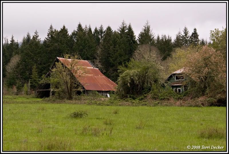 IMAGE: http://i90.photobucket.com/albums/k259/miss-pix/Stills/Homestead/0805_Homestead004.jpg