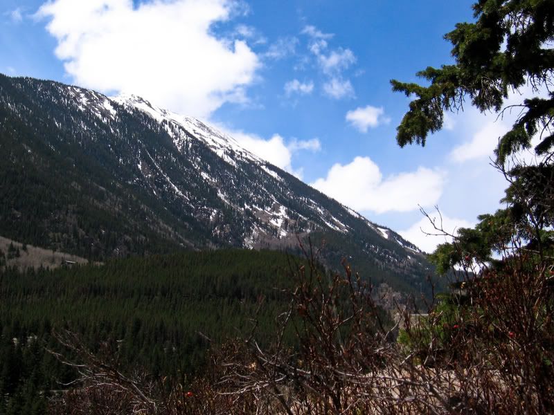 IMAGE: http://i90.photobucket.com/albums/k259/miss-pix/Travel/Colorado/0805_Colorado011.jpg