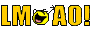 IMAGE: http://i90.photobucket.com/albums/k259/miss-pix/smileys/lmaox.gif