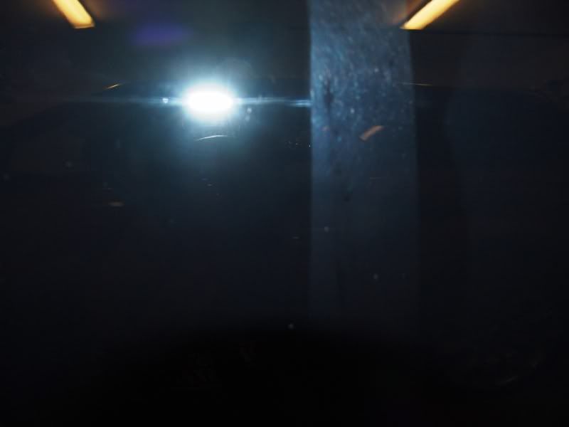 DSC06162.jpg