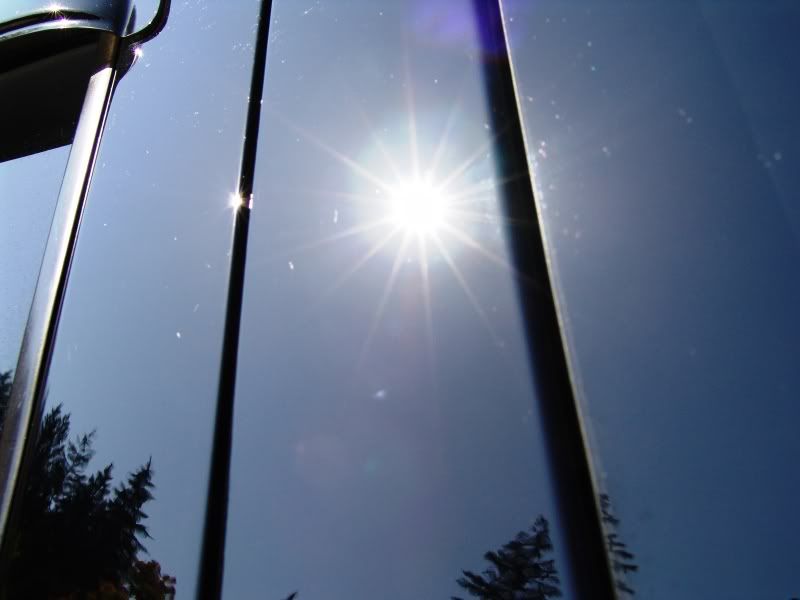 DSC06205.jpg