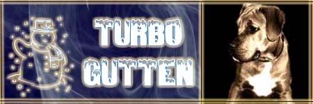 turbo__banner_2_snowman.jpg