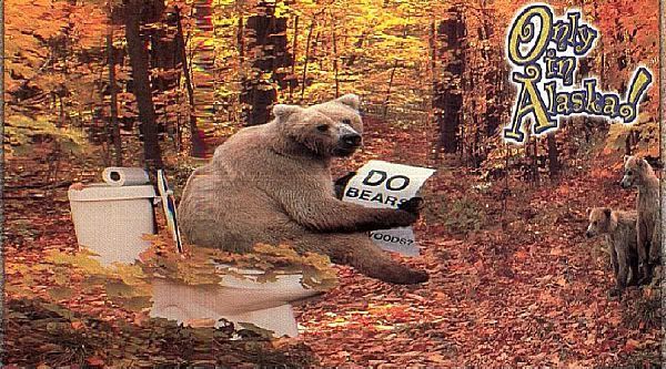 StatendamAlaska2001Bear.jpg