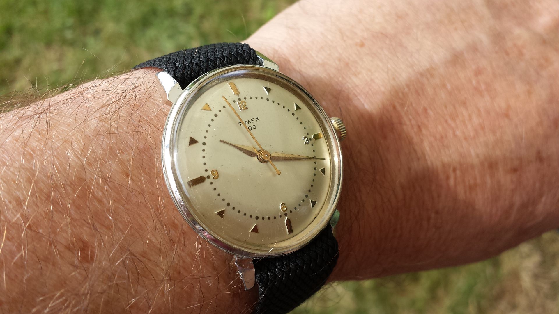 timex 100
