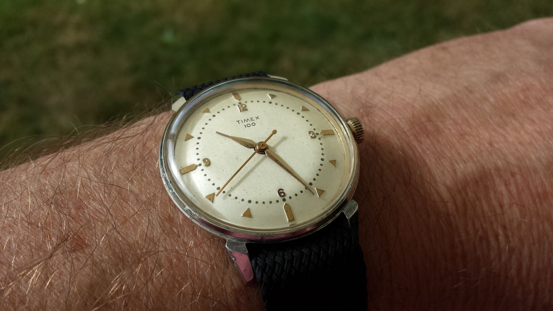 timex 100
