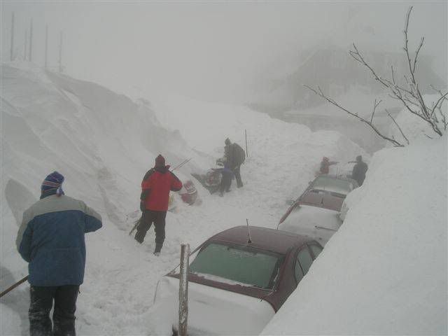 Picture5.jpg