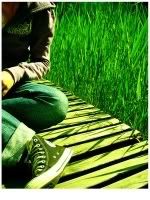 green Pictures, Images and Photos