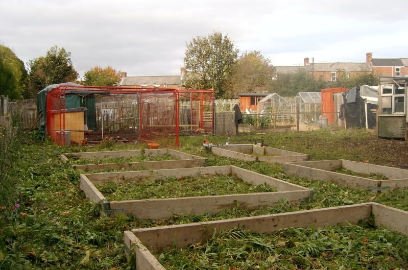 allotment003.jpg