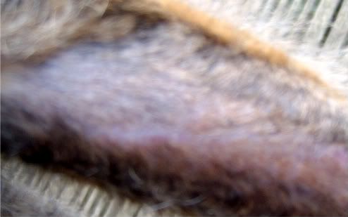 wound003-2.jpg