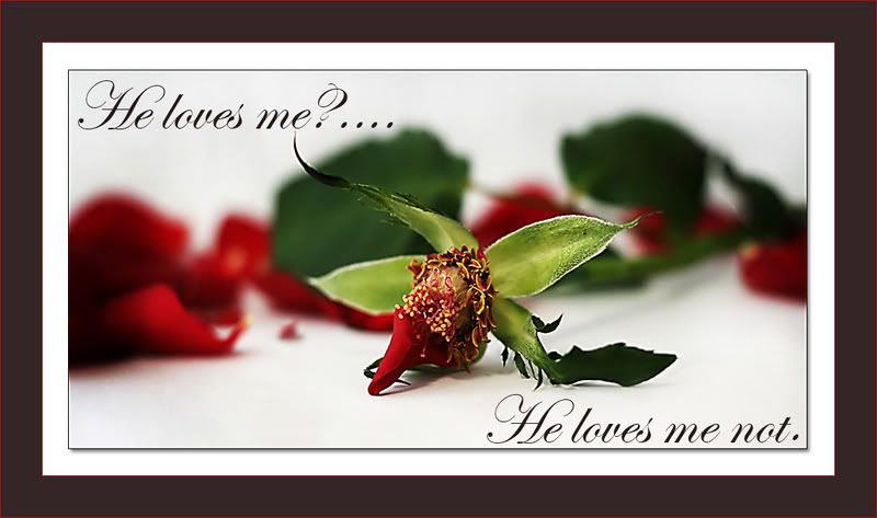 IMAGE: http://i90.photobucket.com/albums/k265/Scarlett_Nic_Photography/0437.jpg