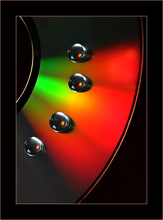 IMAGE: http://i90.photobucket.com/albums/k265/Scarlett_Nic_Photography/cd0186.jpg