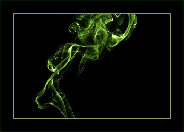 IMAGE: http://i90.photobucket.com/albums/k265/Scarlett_Nic_Photography/sm6.jpg