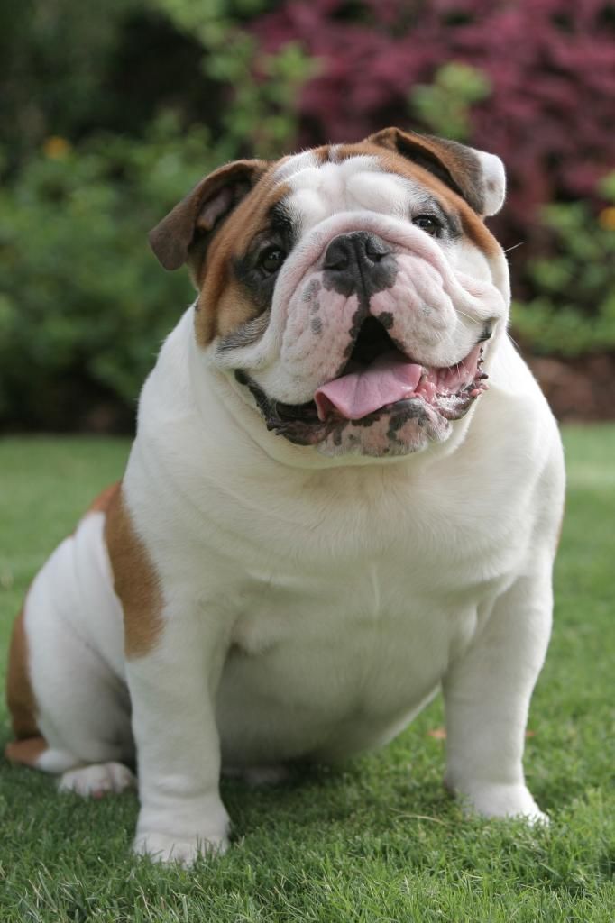 Otis my man!