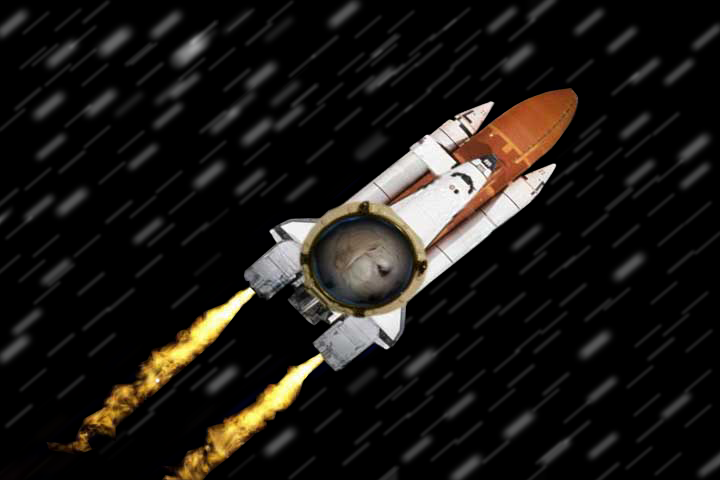user posted image