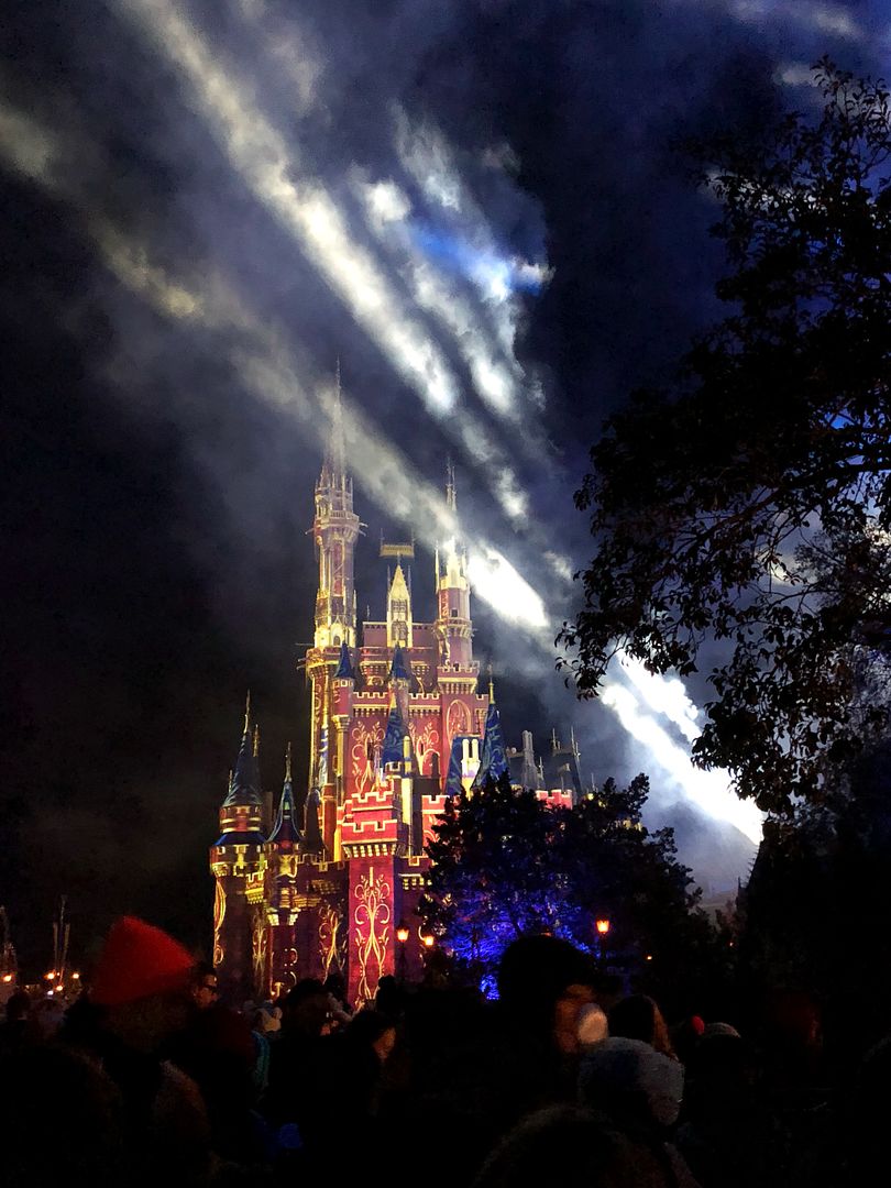 Disney World Magic Kingdom Castle Fireworks