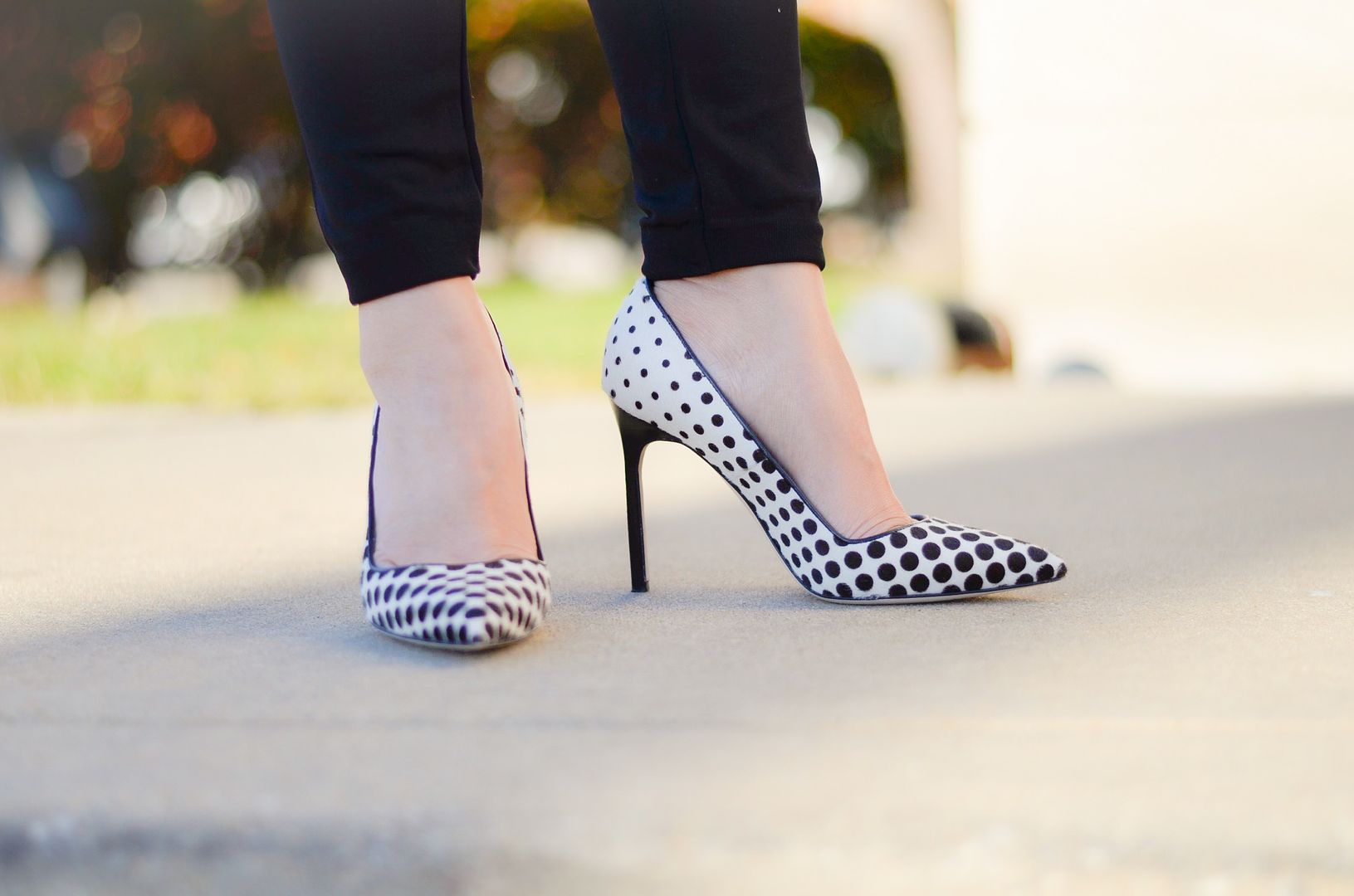 Manolo BB pumps in dot print