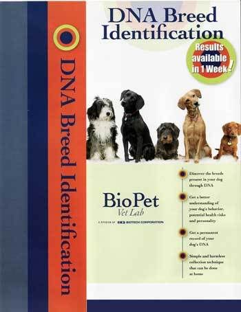 Pet Dna