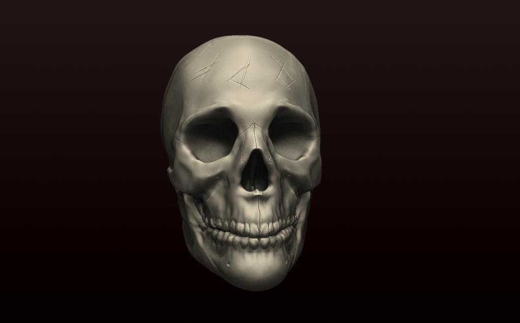 HumanSkull_zps8a738699.png
