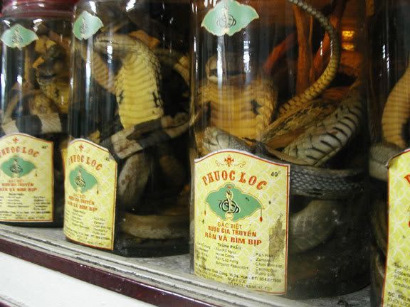 snake wine 1