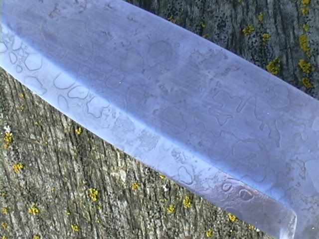 DSCN0055-1.jpg