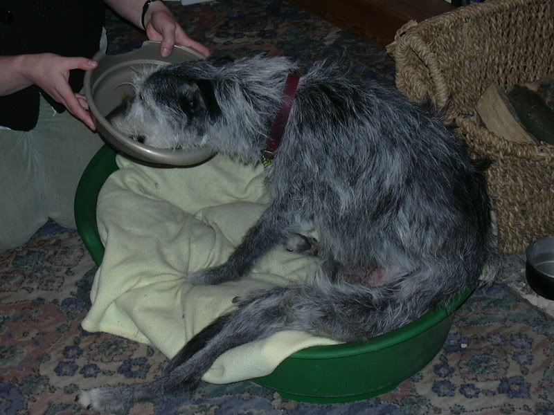 DSCN0259.jpg