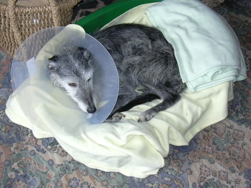 DSCN0260.jpg