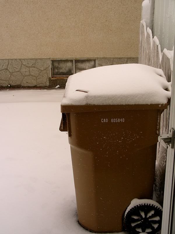 DSCN8253.jpg