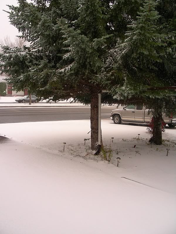 DSCN8254.jpg
