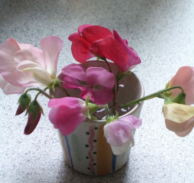 sweetpeas.jpg