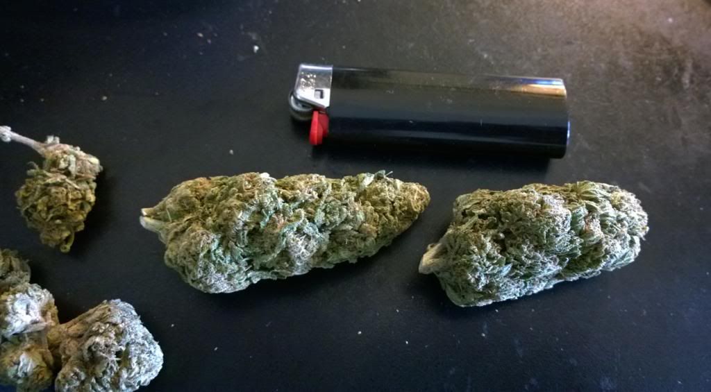 420weed_zps638b992a.jpg