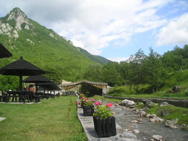 Slika