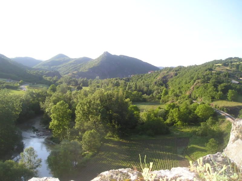 Slika