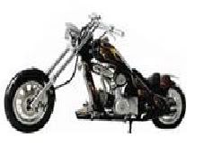 minichopper2.jpg