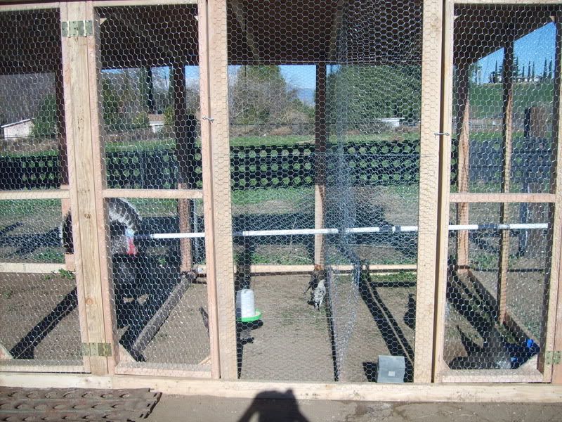 S n M Poultry Breeding pens(Even more Pics) BackYard Chickens Learn