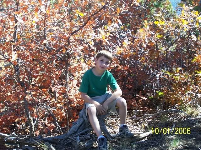 Homesteadingtoday get-together? - Homesteading Questions