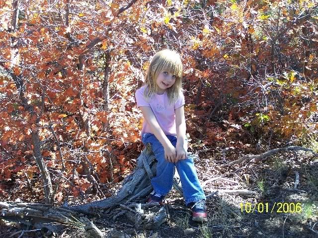 Homesteadingtoday get-together? - Homesteading Questions