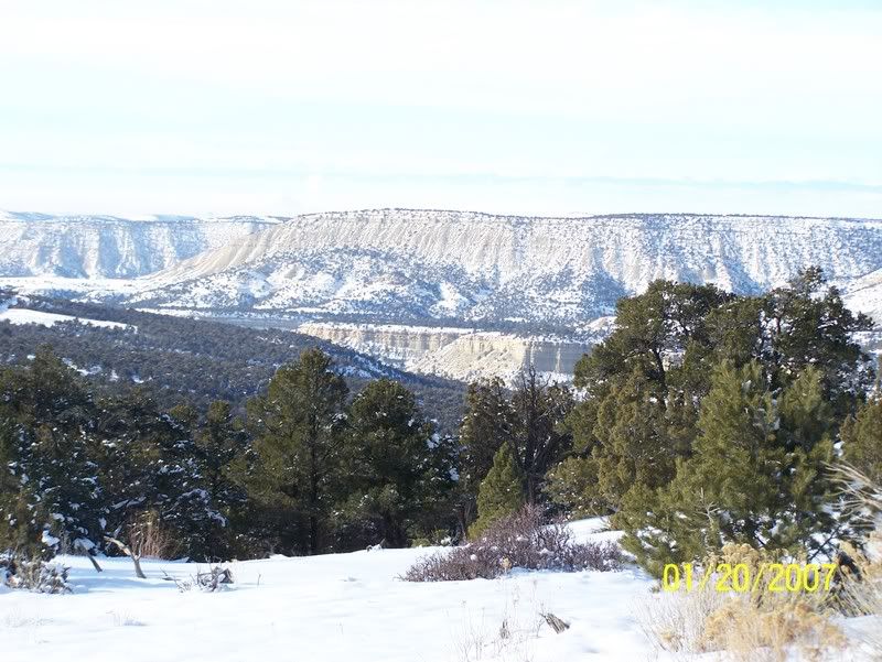 Homesteadingtoday get-together? - Homesteading Questions