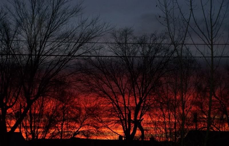 Homesteadingtoday get-together? - Homesteading Questions