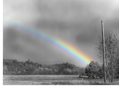 black white rainbow Pictures, Images and Photos