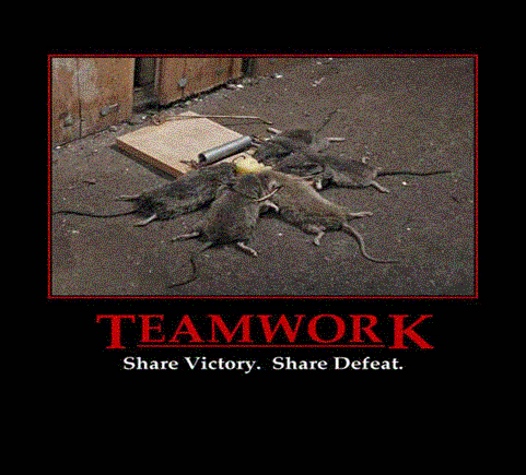 teamwork.gif