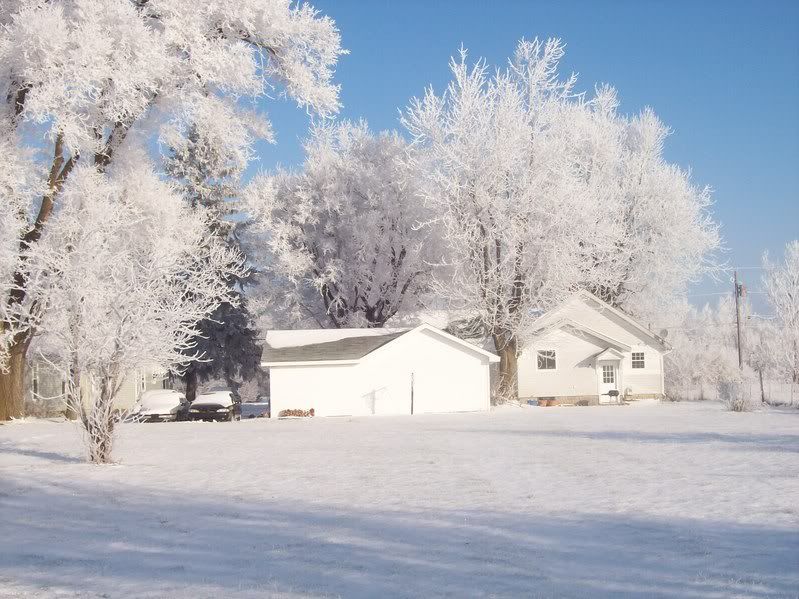 Anyone have city goats? - Goats