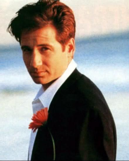 david duchovny hot. David Duchovny Hot Or Not - Page 6