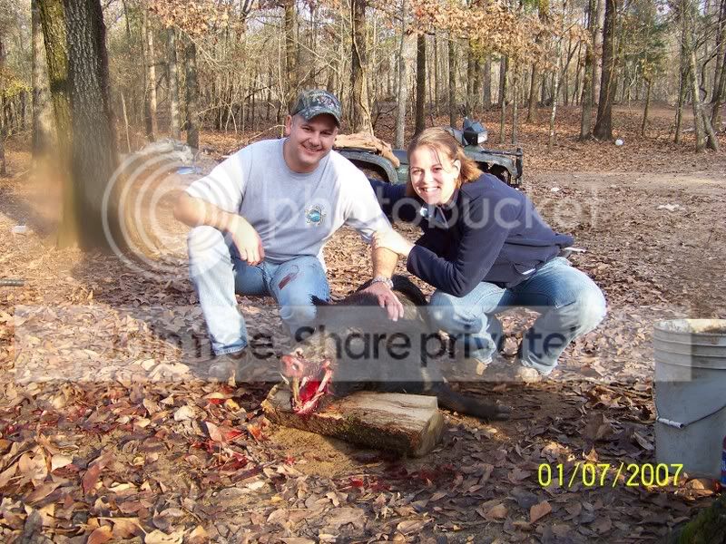 Hog kill thread. | Page 4 | Archery Talk Forum