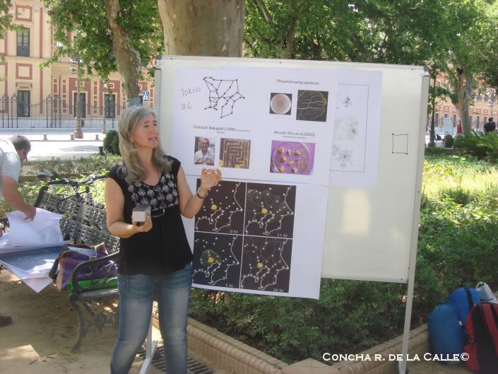 705-JrdinesCristina-Universidadenlacalle-30-5-20128.jpg 