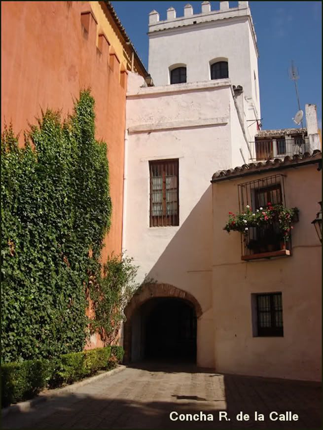 JuderiadeSantaCruzSevilla.jpg 